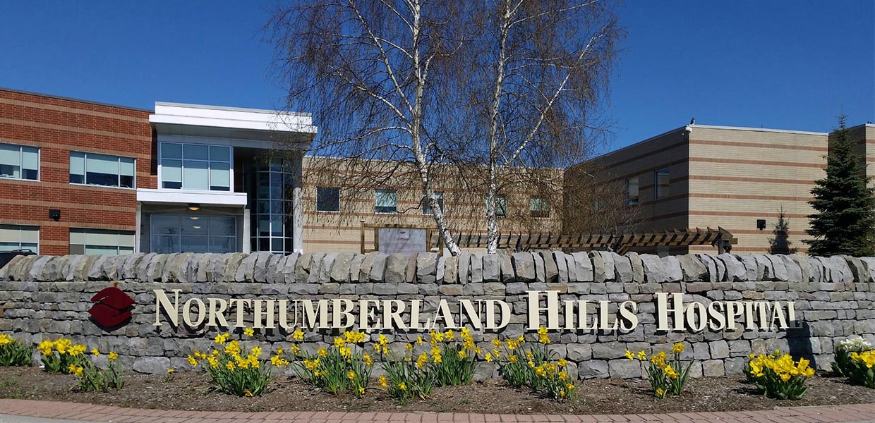 NHH Entrance Spring Daffodils